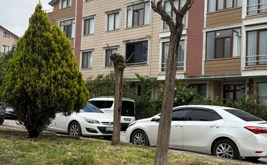 Ervan Apartmanı No.14
